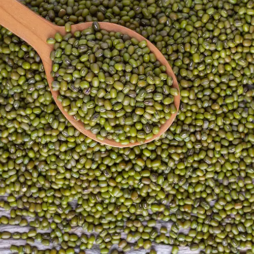 Rajma